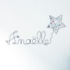 Anaëlle et l'étoile fleurie – Image 2