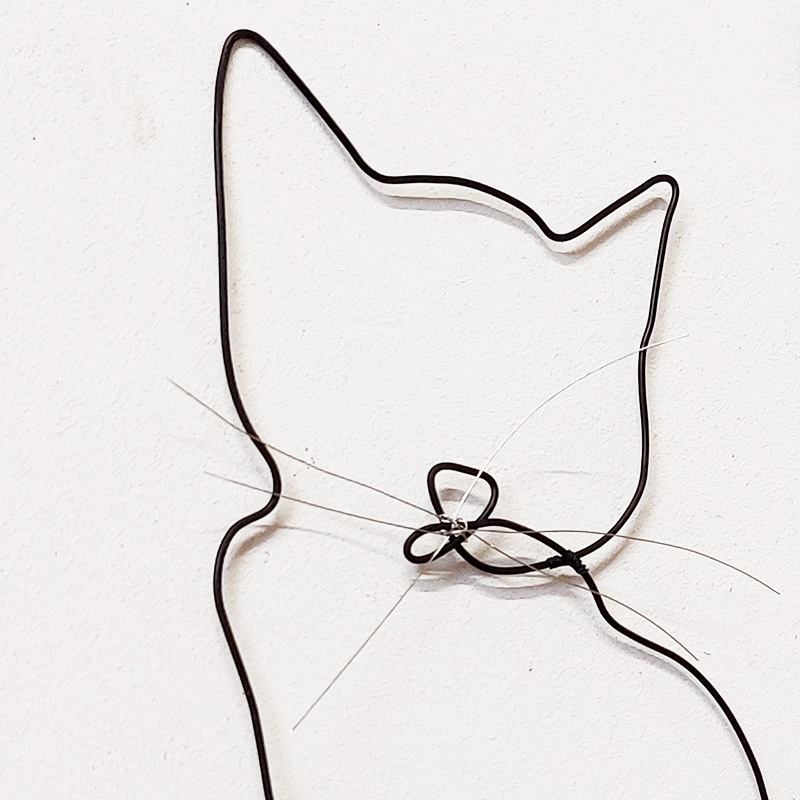 3 petits chats chacha – Image 4